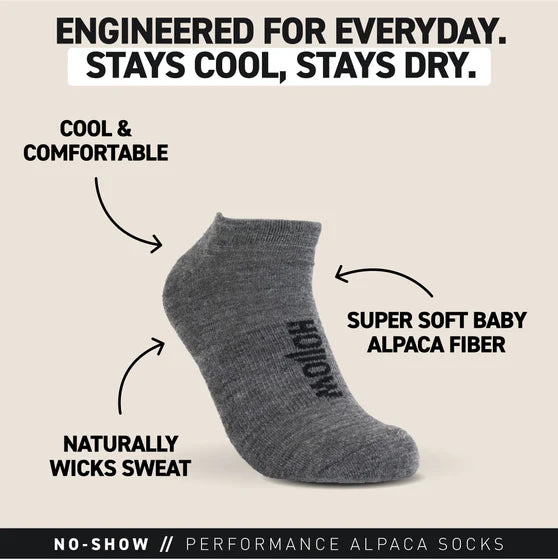 No-Show Socks